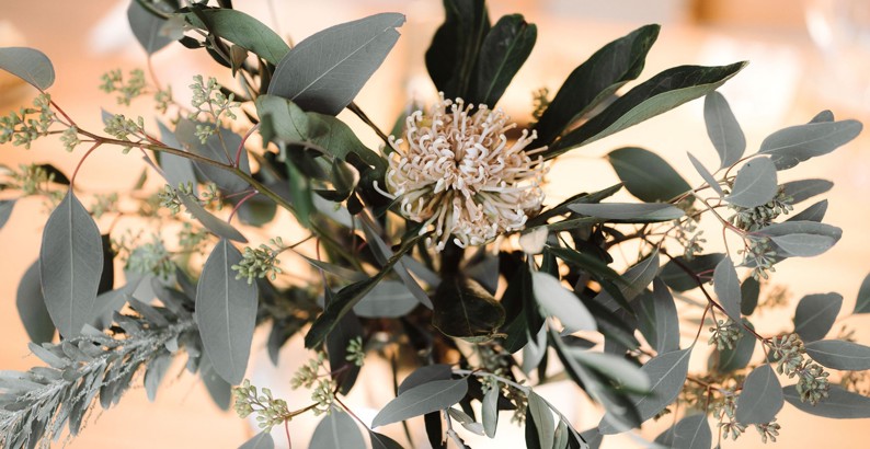Fremtidsfullmakt blomster